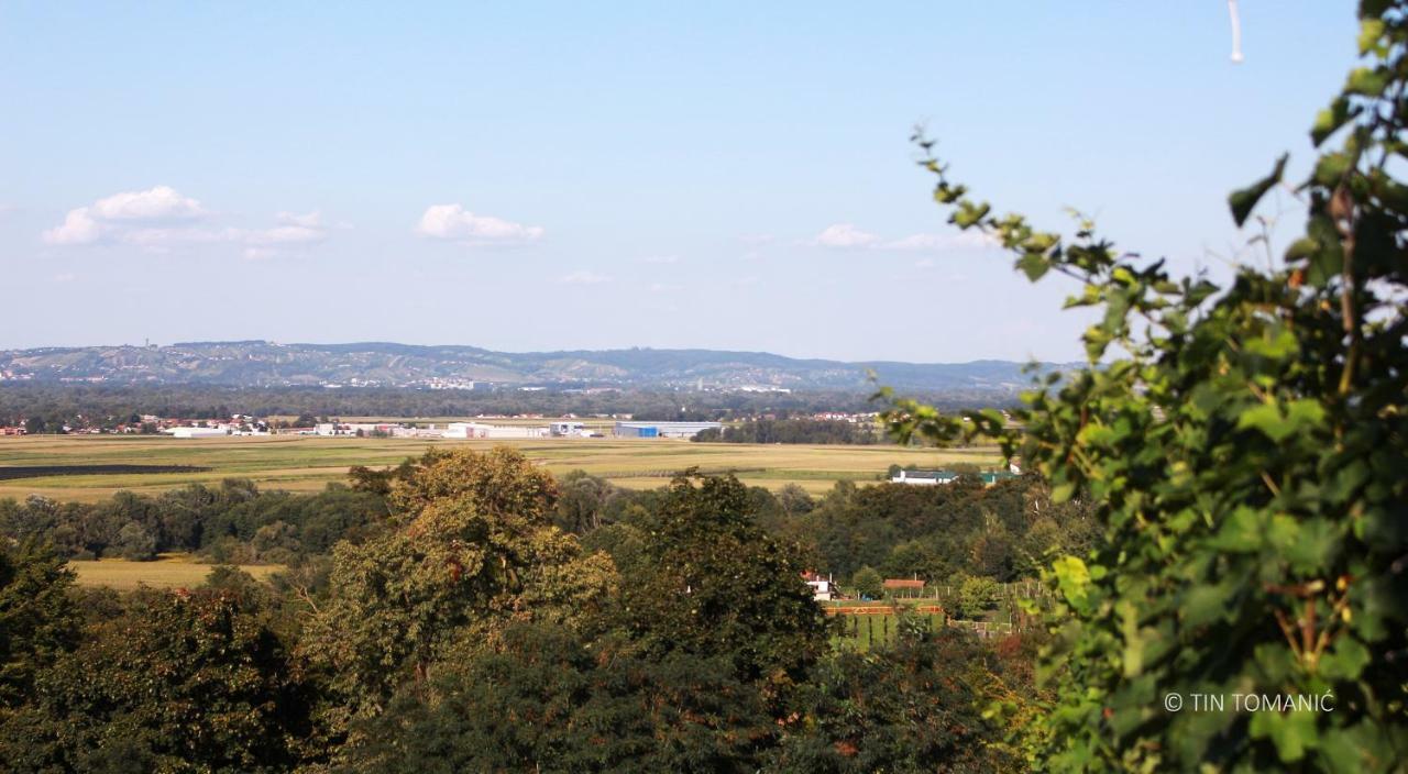 Kuca Za Odmor Mare Villa Sveti Martin Na Muri Exteriör bild